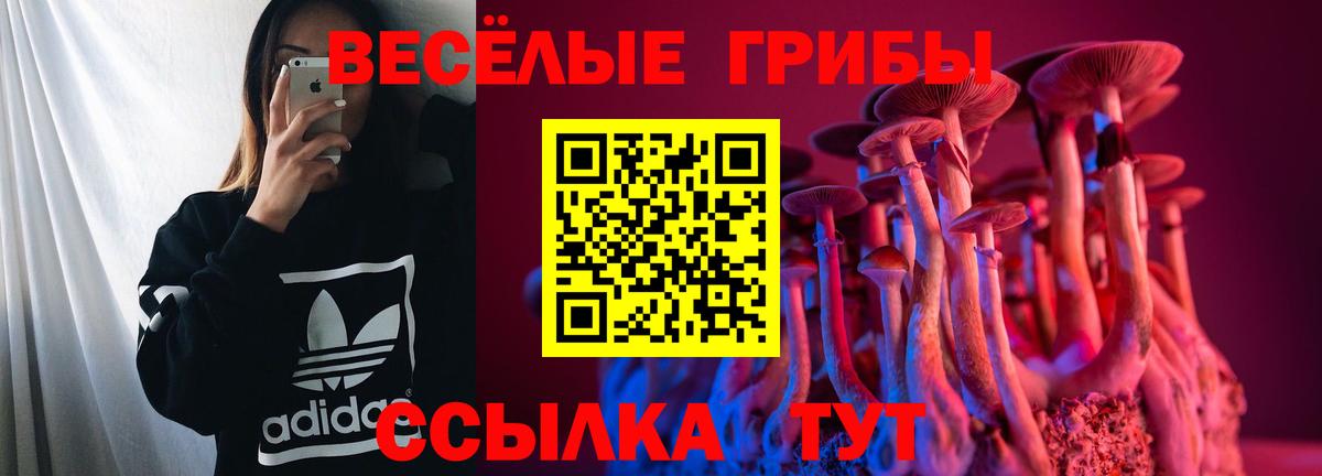 Галлюциногенные грибы ЛСД Строитель